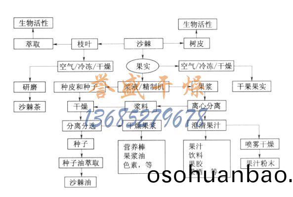 沙棘的加(jia)工(gong)流程(cheng)