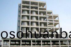 YPG壓(ya)力(li)噴霧(wu)造(zao)粒榦(gan)燥機(ji)-用戶現(xian)場(chang)