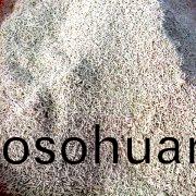 鏇(xuan)轉式(shi)製(zhi)粒(li)機(ji)實驗(yan)現場(chang)