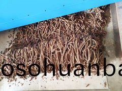 汚泥擠條(tiao)機